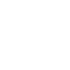 principle icon